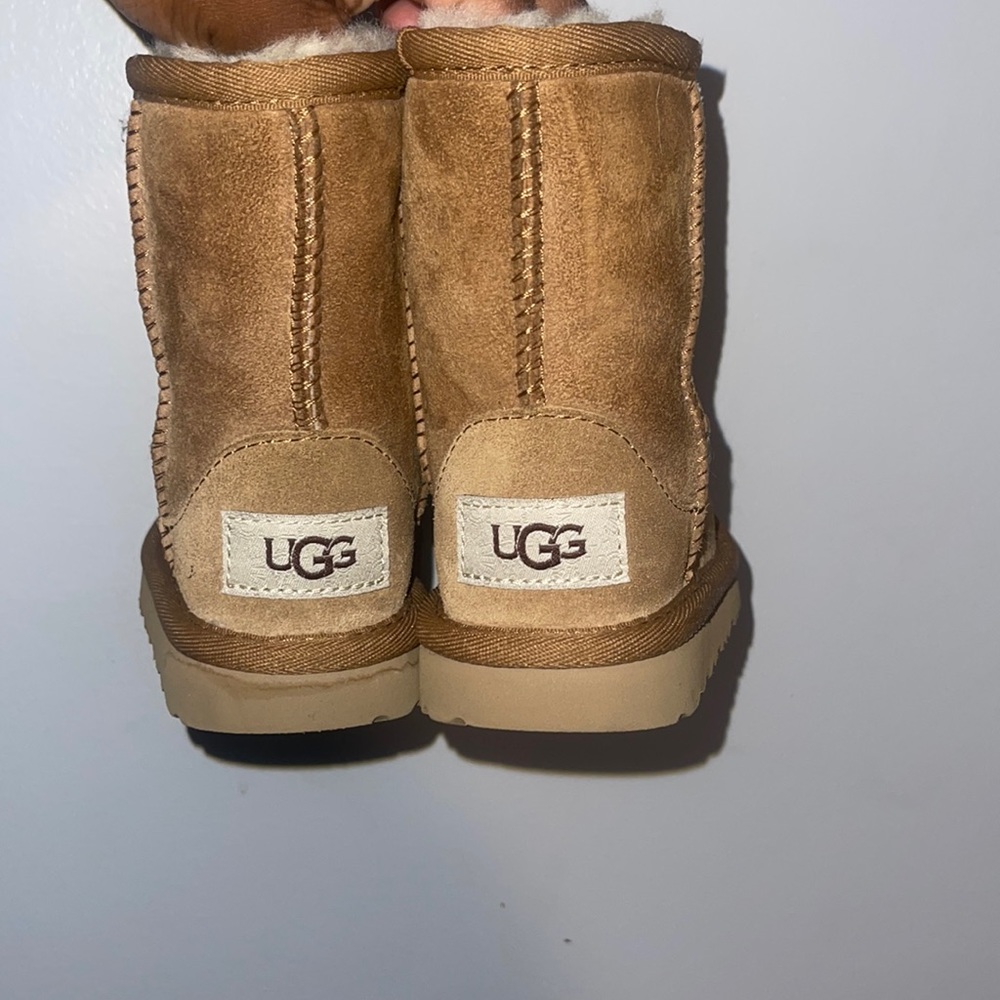 Chestnut Uggs